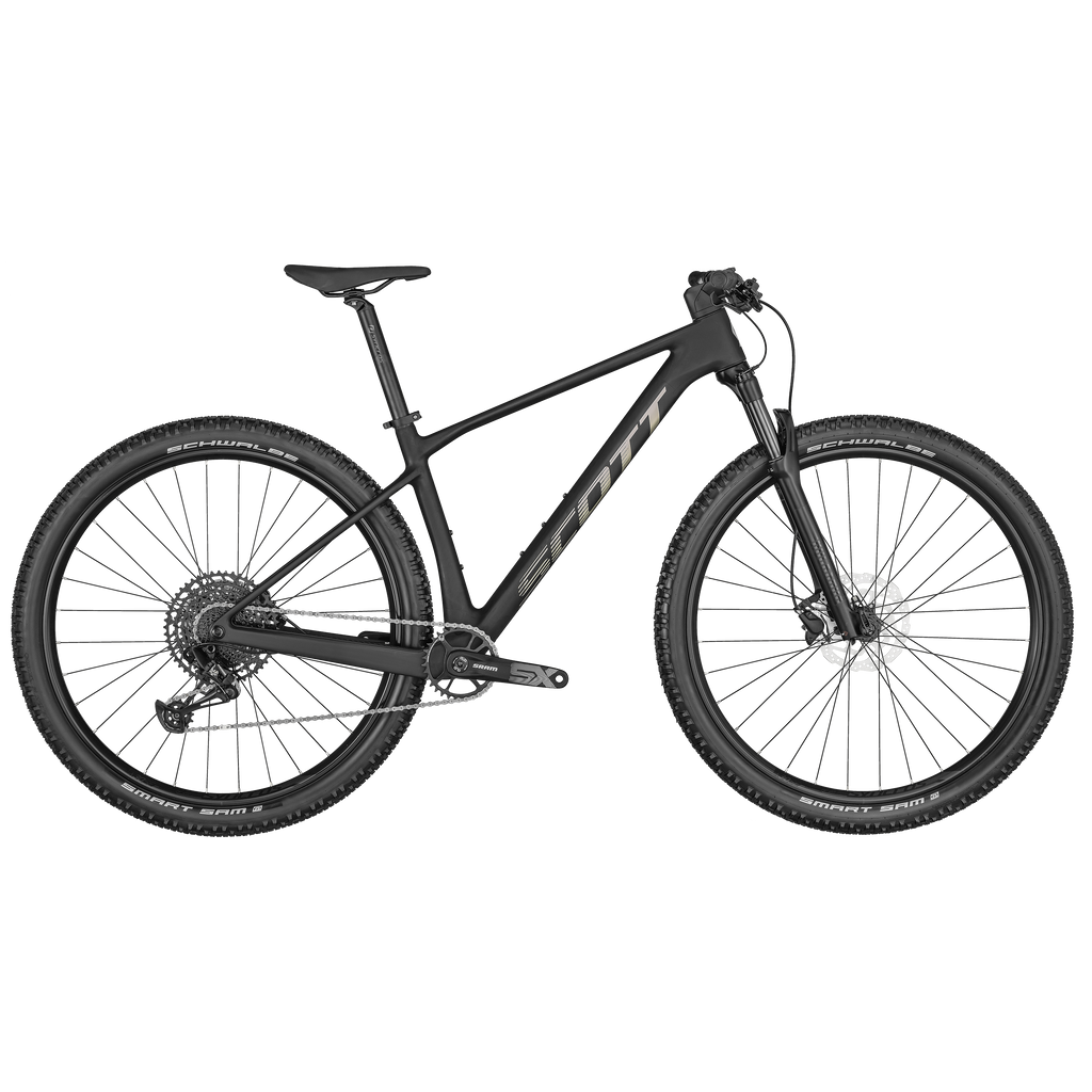 Scott scale online 920 2020