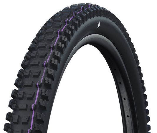 Schwalbe Albert Gravity Pro Radial Ultra Soft MTB Tyre in Black (Fold)